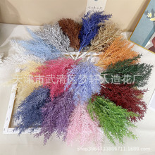 ��c����С�ѵ����c·�����Ŵ�׾Gֲ�~�� �Ҿ��b���ˮ����