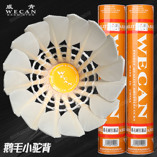 ?���{������G6��ë���ʹ��w�з����Zë���^���IӖ����ِ����12ֻ