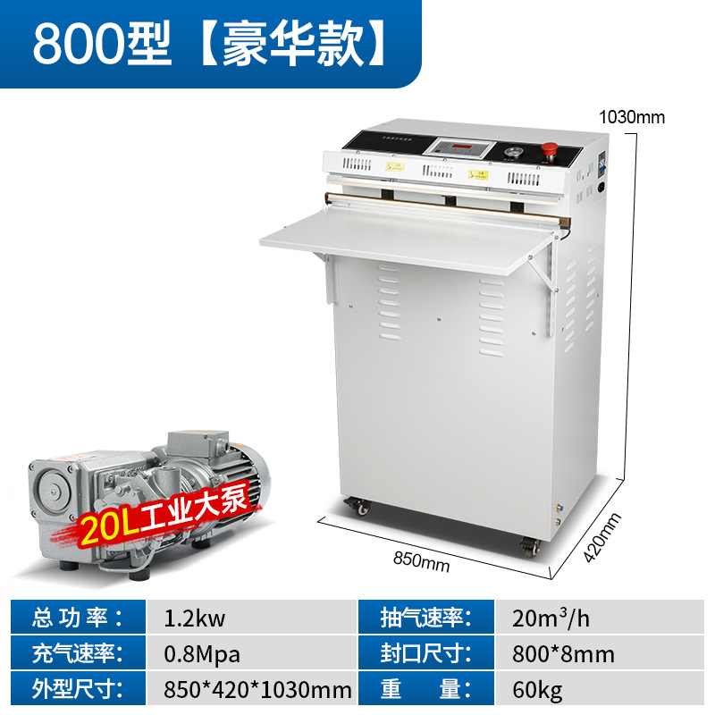 800 (painted version)