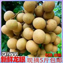 广东新鲜龙眼桂圆高州储良石硖现摘当应季水果整箱大果5斤包邮10