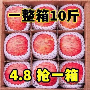 �崨�t��ʿ�O�����r����ˮ�������Ĵ���10��������]