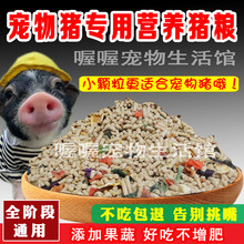 小香豬寵物豬全型豬飼料豬糧食小豬仔豬全價配合顆粒飼料