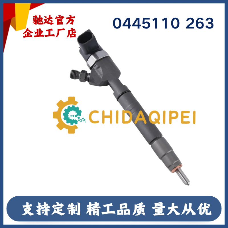0445110295 Common Rail Injector A6460701287 0 445 110 295 Is Suitable for Mercedes