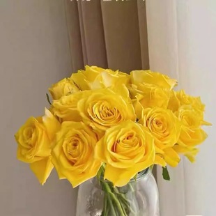 ���õ���� ������õ��N�� �Sõ�廨���S��r���r�л���Ǥ����