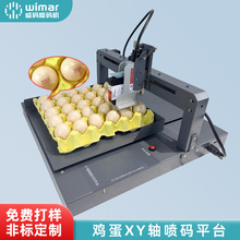 鸡蛋喷码机全自动鸡蛋XY轴喷码平台整盘喷印生产日期序列号喷码机