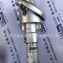 德国IPSEN 氧探头旋转炉床炉系统KB-100408-A