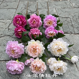 ĵSQ 3^ĵ ƵҾꐻYbٻl