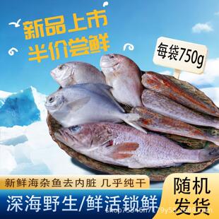 ���s�~ţβ�~�K�~�t�^�~�r��������~���r���s�ZҰ������ˮ�a