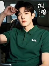 �޹�����polo����t�������ļ���I�F�w�V���Ļ������bӡlogo