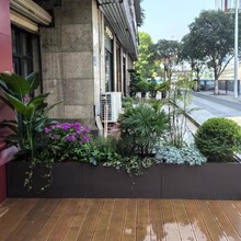 �V�����⻨��������[�̘I���ۘǲ������L���λ��軨���ӈ@ˇ����