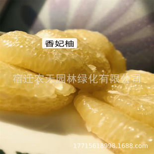 ̩���t��ʯ������޽ӹ�������Ʒ�N̩�����_���t����t�����Ә���