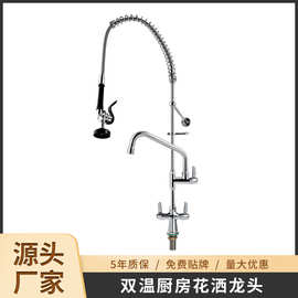 厨房冷热水龙头套装厨房洗菜盆高压冲洗花洒水龙头全铜水槽花洒