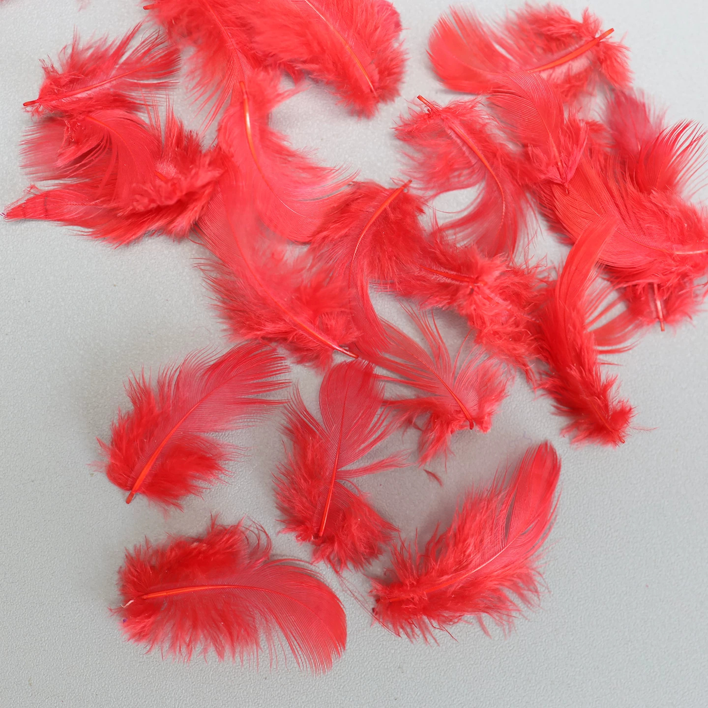 Fábrica directa pequeña serie de plumas rojas DIY accesorios accesorios de artesanía ropa accesorios escenario plumas