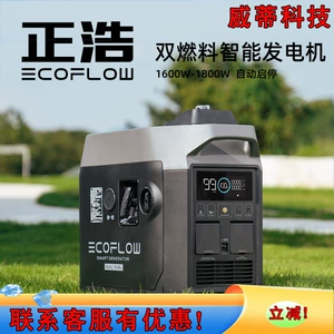 Ecoflow Zhenghao Intelligent Dual-Fuel Generator Oil and Gas Dual-Purpose Automatic Start and Stop 1800W 1600W