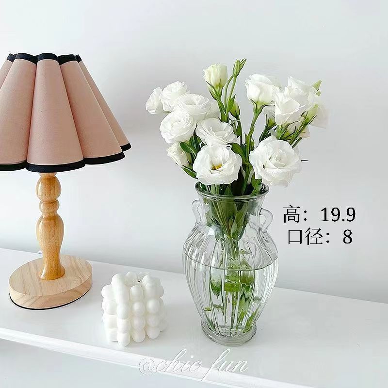 Barra vertical de doble oreja decoración de jarrón de vidrio transparente estilo ins flor seca al por mayor florero de vidrio de rábano verde al por mayor