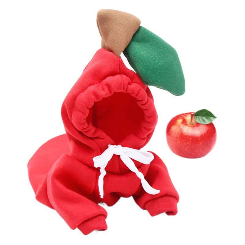 Otoño e Invierno mascota perro gato cubo Francés oso de peluche fruta fleece baño Ropa Decoración suministros fábrica al por mayor