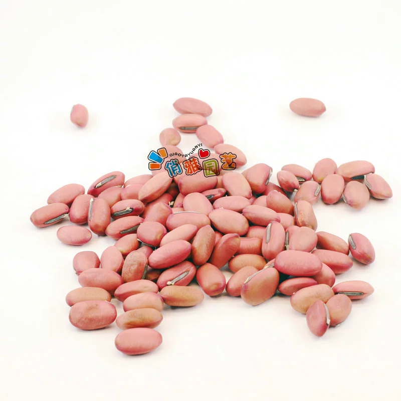 Красные волшебные бобы без гравировки для учащихся детского сада, которые учатся листи, креативный подарок, микропейзаж, нож, бобы, красные бобы