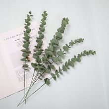 �����֧�lë�ȼ����~�ҾӾƵ��b��X�ݼ٘��~�S�����l����Gֲ