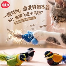 ؈��������˽␞���������w����؈����ץҧ����С�B�l�������