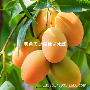 ���l̨�râ��޽�̨�rһ̖â���������â���������Ϸ��Nֲ������