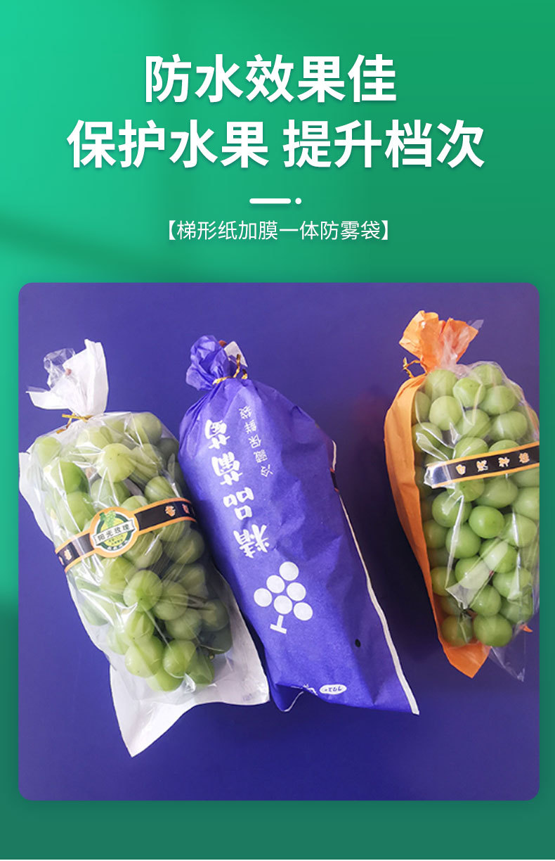 梯形纸加膜一体葡萄包装袋_03