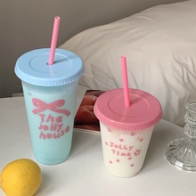 夏天来啦~可爱小众水杯新款便携塑料吸管杯喝水自制奶茶杯咖啡杯
