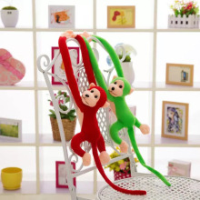 �����L�ۺ��ӹ���ë�q��ߵ���ſſ���Lβ��С�ҾӒ������Y��