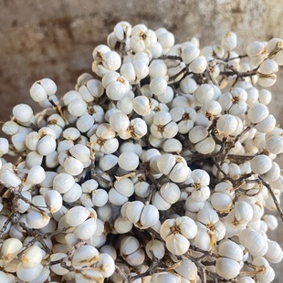 ������̗UС�׹��S�Ҟ������Ȼ�ɻ�DIY���h����������@�b�