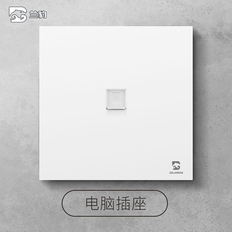 Computer socket (network cable/network socket)