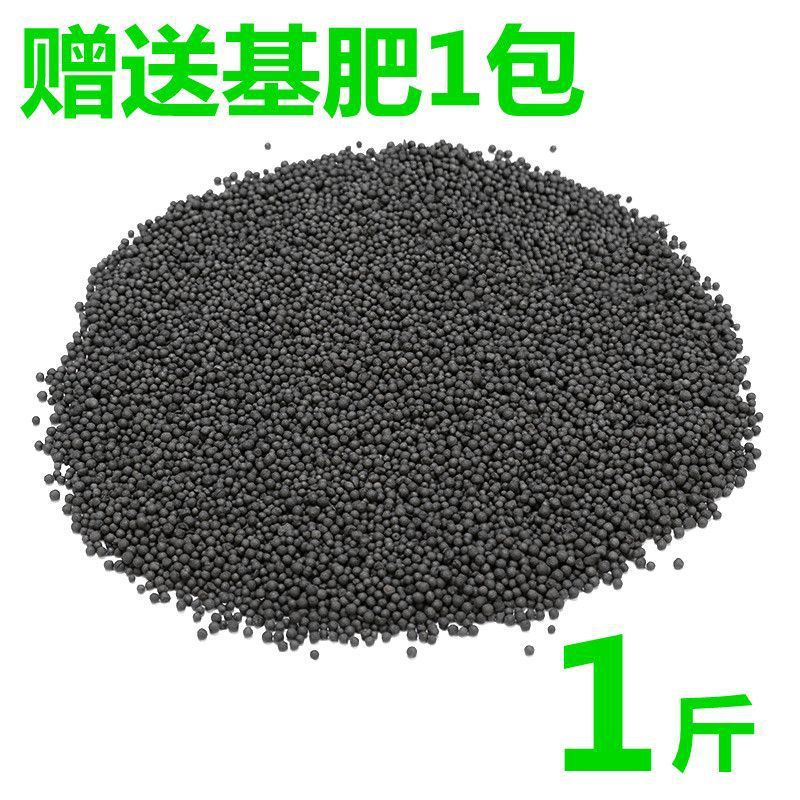 수생식물머드【0.5kg】강화정수버전 - 수생식물머드[종자없음] + 기초비료 단독구매