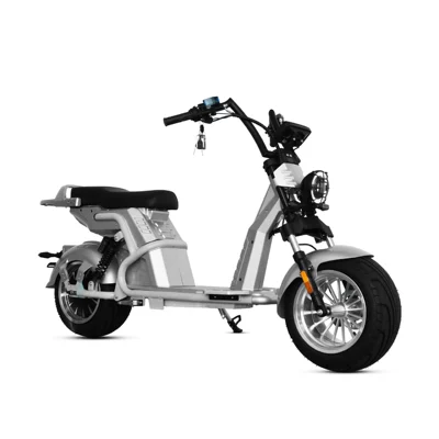 Elektrikli motosikletlər Adult Mobility Scooter Two-Wheeled Motorcycle