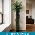 仿真绿植稻草人热带沙漠大型盆栽园林造景植物庭院商场酒店装饰树