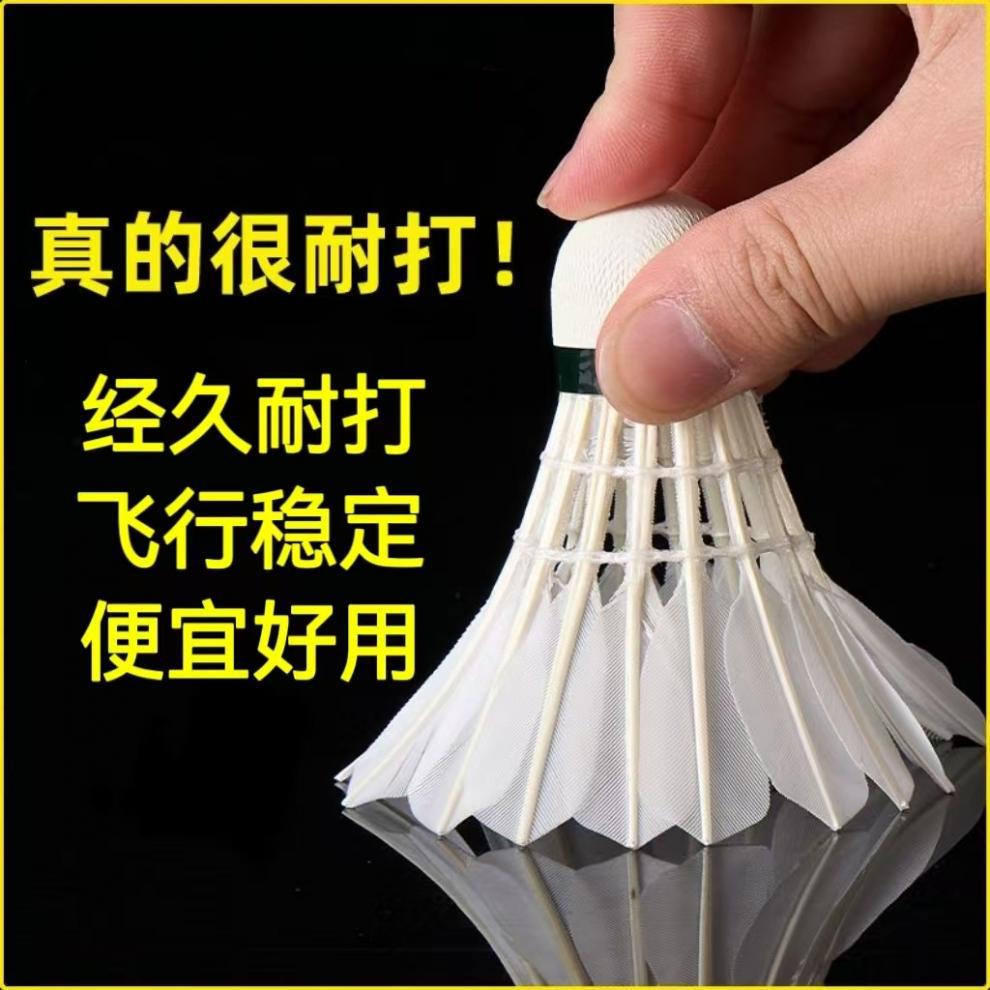 0883176f-5976-4add-a8a9-d87b0f93cb1e.jpe