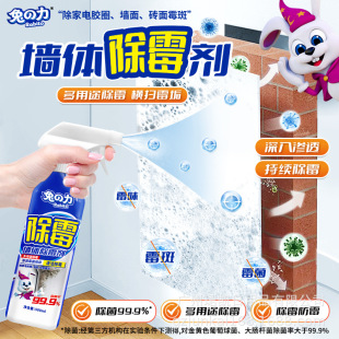 Rabbit Power Wall Mold Remover 500ml Removes Mold Spots on Household Appliances, Rubber Rings, Wall Tiles