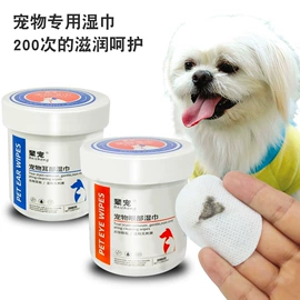 狗狗牵引;宠物项圈;狗狗清洁