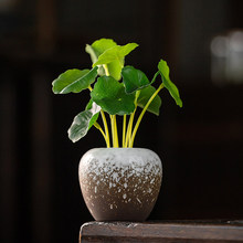 ����͹��մ�����U��С�����[���������廨�~�X�ݲ茙�b�Ʒ