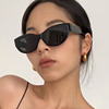 Retro sunglasses, fashionable glasses solar-powered hip-hop style, European style, 2023 collection