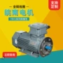 异步隔爆型经销商三相电动机