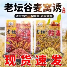 玉米窝料西部风老坛五谷杂粮甜薯麦粒谷麦红黄打鲫鲤草野钓鱼饵料