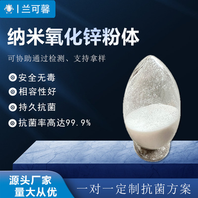 Nanometer Zinc oxide Mushroom powder Inorganic Nano zinc Antibacterial Antifungal rubber silica gel coating Powder wholesale