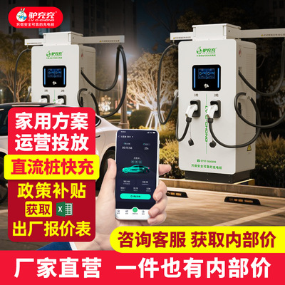 Fast Charging Pile 60kW80kW120kW160kW Spear direct New Energy automobile Charging post commercial operate