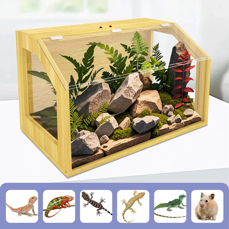 可上锁透明亚克力顶棚爬行动物饲养箱 鬃狮蜥蛇类豹纹壁虎通用箱