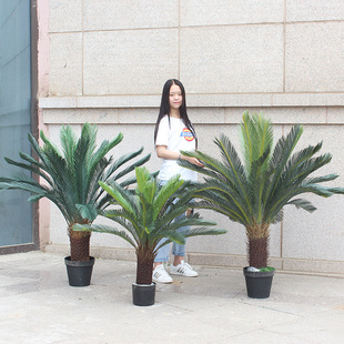 �����K�F�����Լ�ֲ��Ƶ��̈��҃����bGֲ�͏d��[������F��