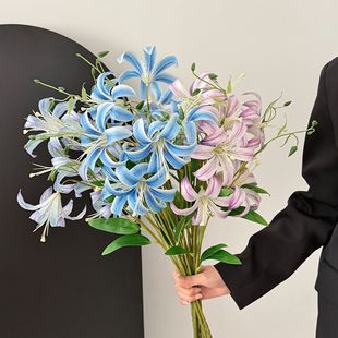 3D�¿�4�^�ٺϷ��滨�߼��б���Ҿӿ͏d�����b��ٻ��Ĕz����