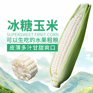 Fujian Fresh Milk Fruit Corn 3.5-4 Catties/6 наряд