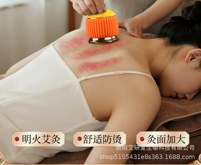 Gilded Lotus Metal Moxibustion Jar Set with Mugworm Cones and Essential Oil for Warm Therapy Gua Sha Cupping overview