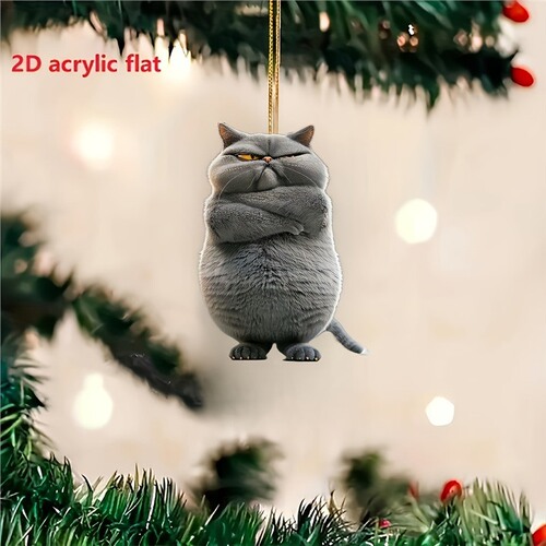 Acrylic Flat Angry Cat Car Mirror Ornament Decorative Hanging Accessory