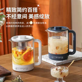 养生壶全自动玻璃家用多功能办公室电热烧水小型煮茶器花茶壶送礼