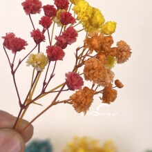 �M���Ǹɻ��������� �����b�ɻ��� �b��滨�[���Ĕz����