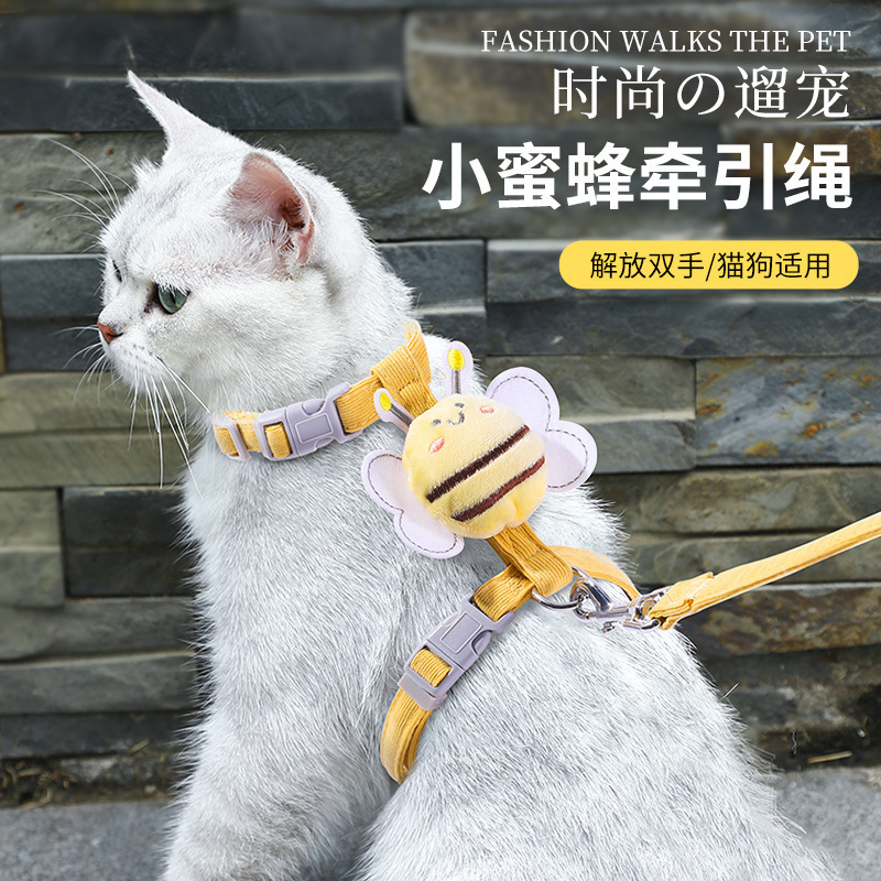 고양이 가죽 가죽 끈을 떼어 내십시오 조정 가능한 애완 동물 특수 테디 머펫 작은 개 가죽 끈